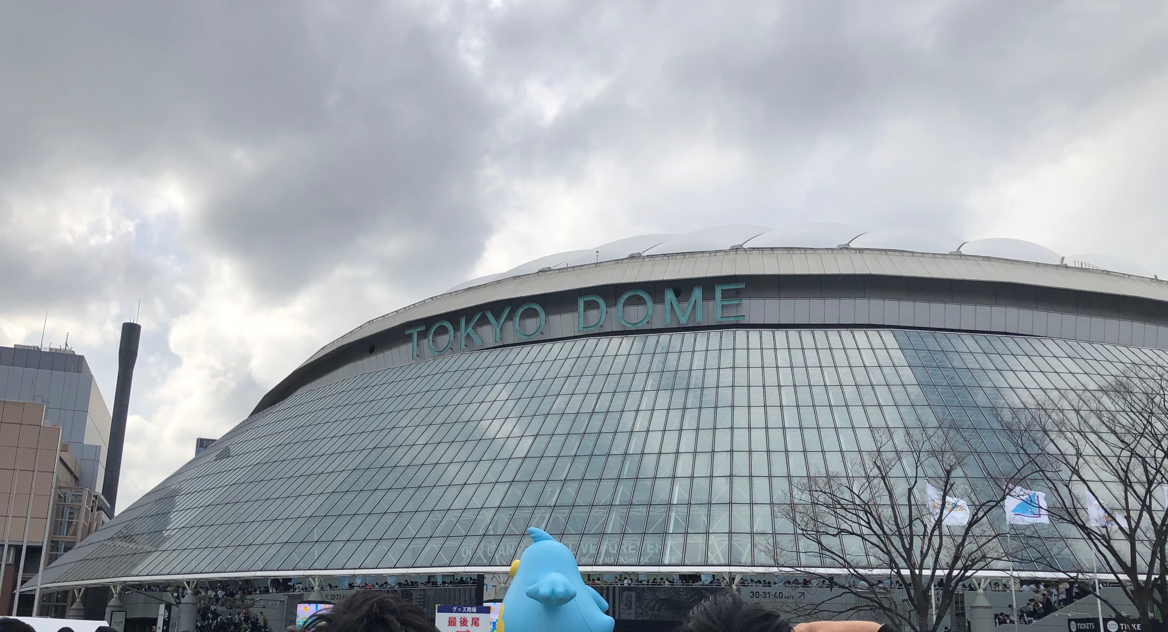東京ドームの画像