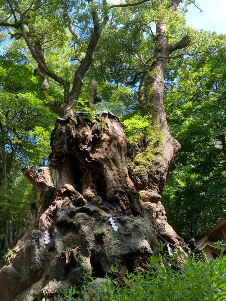 秋田の画像