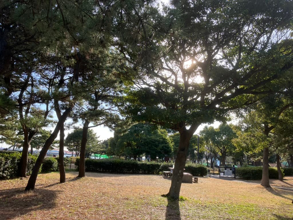2023年振り返り